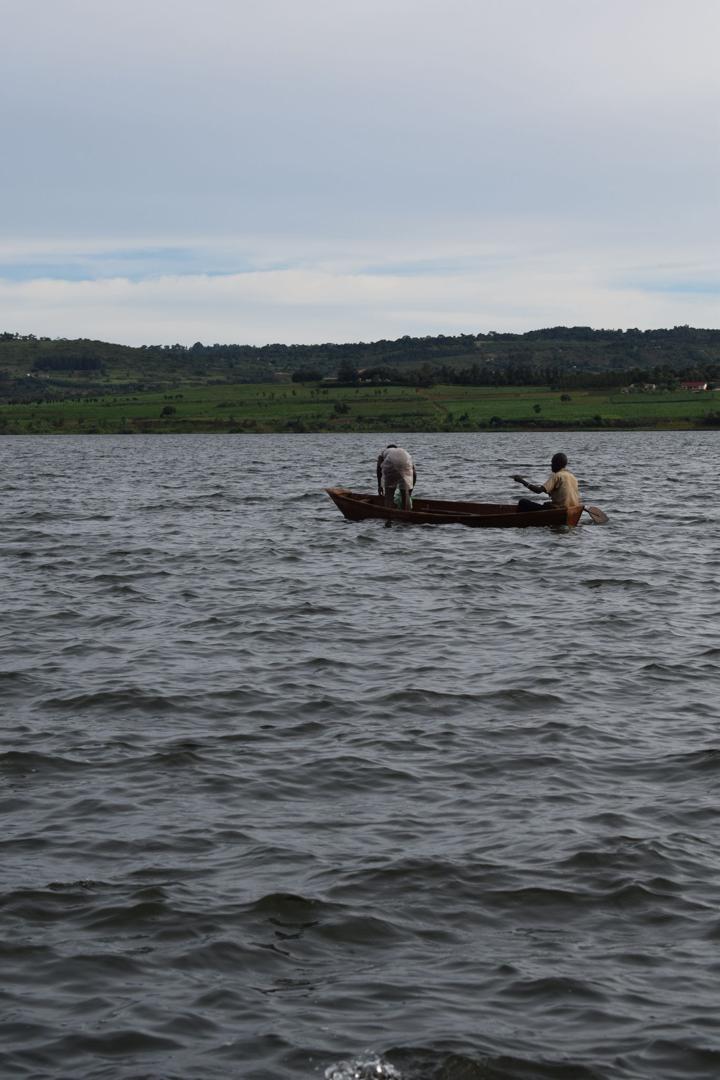 Healthcare Access Program