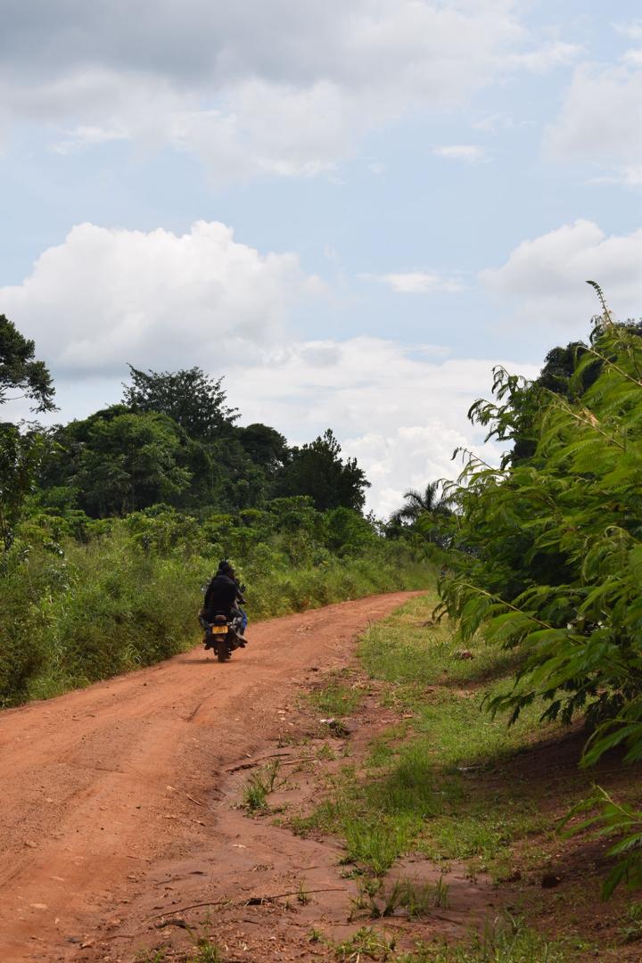 Health Education Campaign