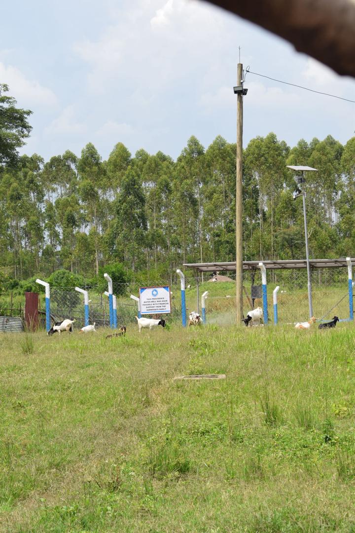 Telemedicine Services