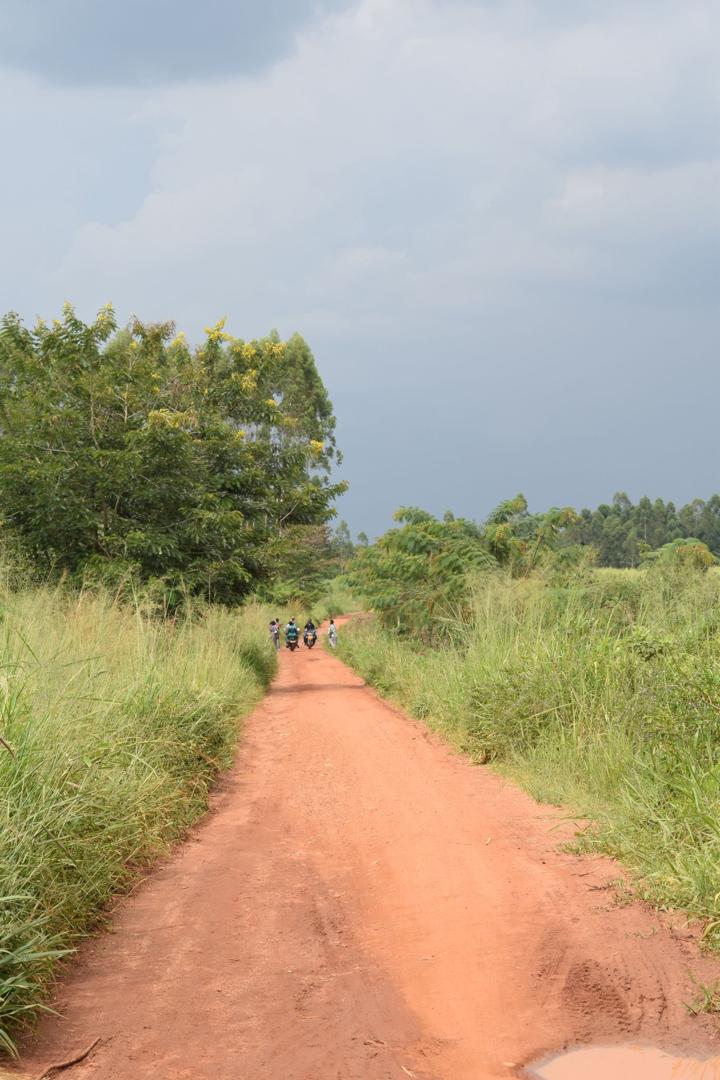 Traditional Healer Integration